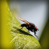 /album/kadernictvi-kondic/photolia-a04-jpg/