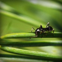 /album/kadernictvi-kondic/photolia-a05-jpg/